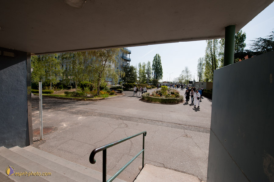 Nom de l'image : D30102035a_(c)Norbert-JUNG.com — Description :